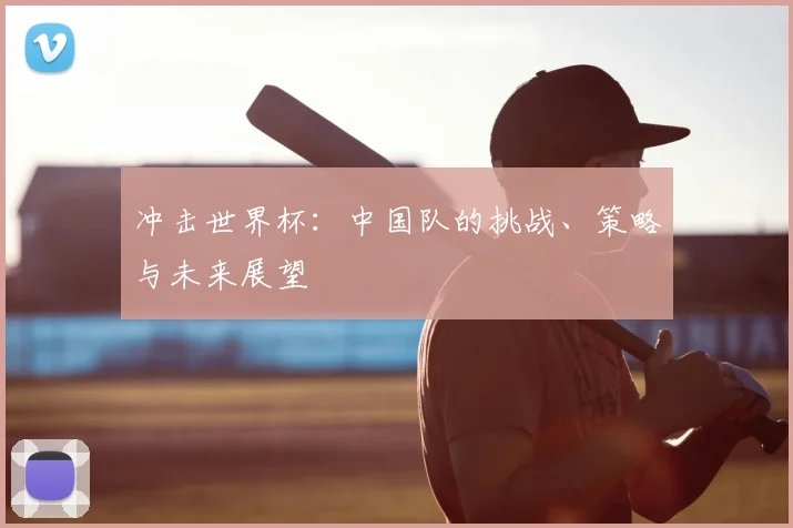 冲击世界杯：中国队的挑战、策略与未来展望