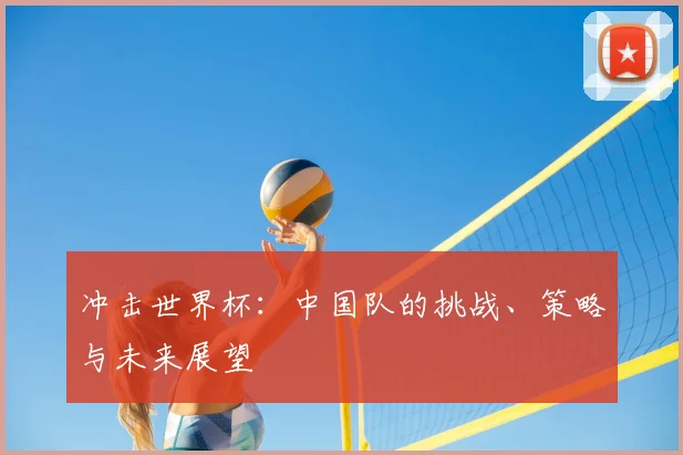 冲击世界杯：中国队的挑战、策略与未来展望