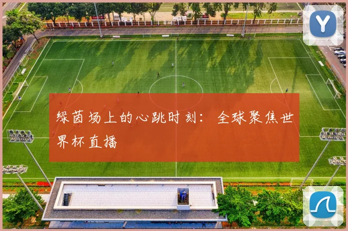 绿茵场上的心跳时刻：全球聚焦世界杯直播