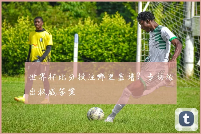 世界杯比分投注哪里靠谱？专访给出权威答案